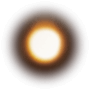泡