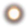 泡