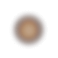 泡
