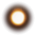 泡
