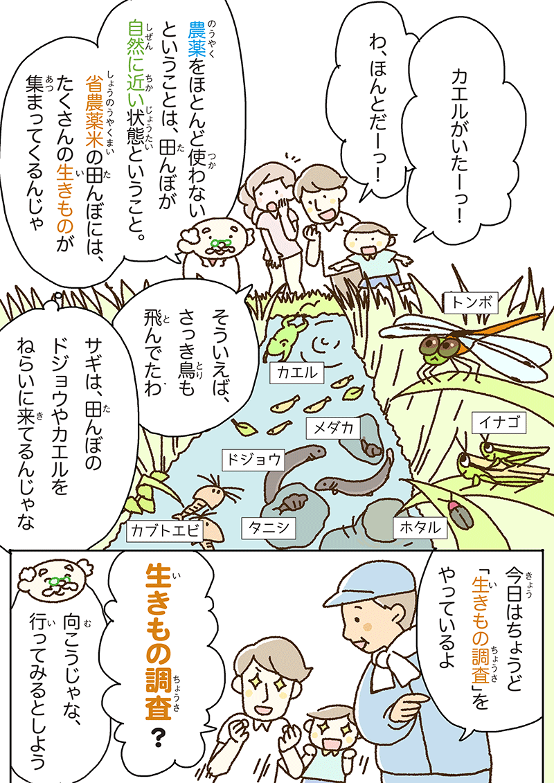 いろんな生きものが、環境をつくってる！ 第2話