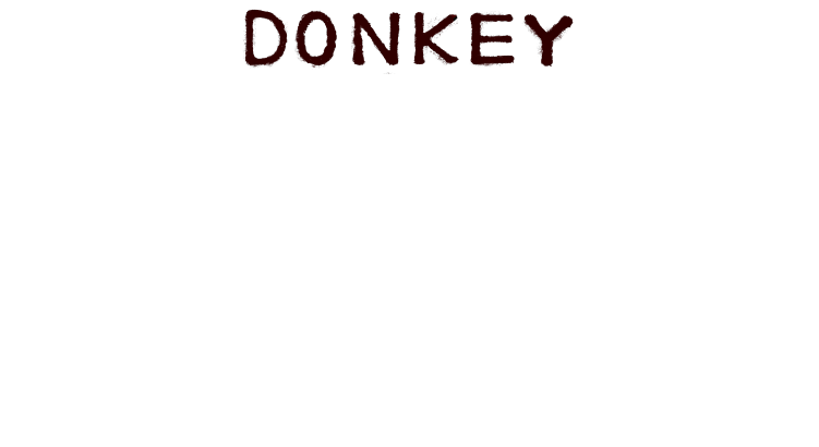 DONKEY