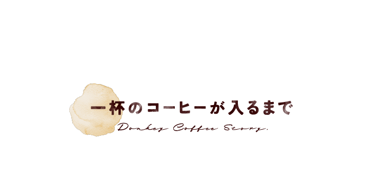 一杯のコーヒーが入るまで