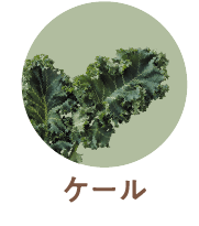 ケール