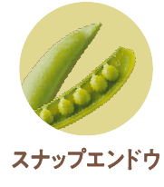 スナップエンドウ