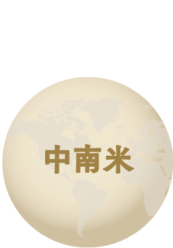 中南米・選択済