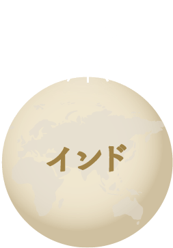インド・選択済