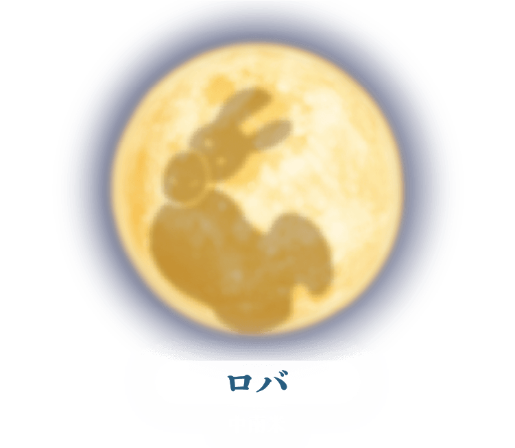 ロバ・中南米