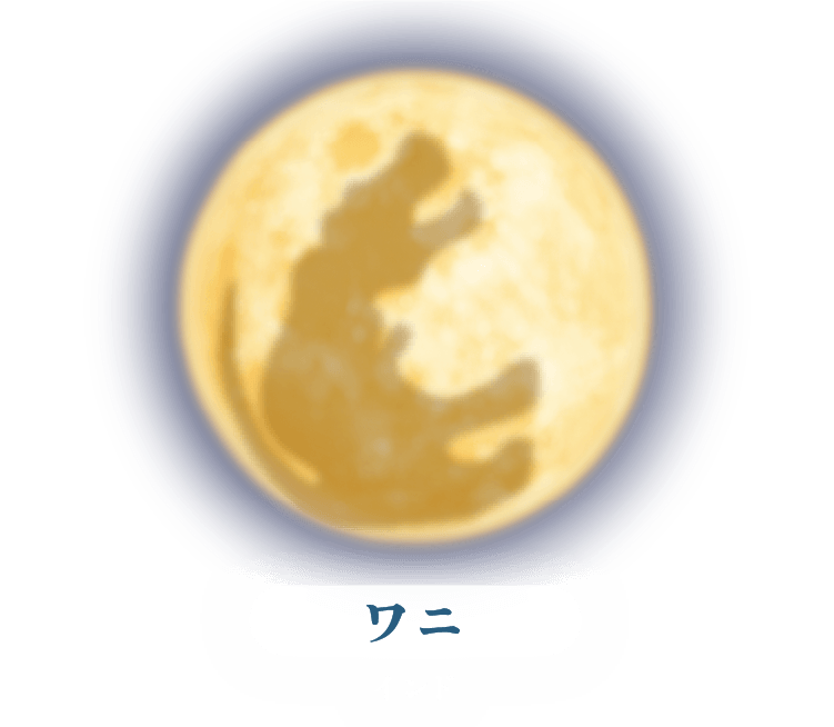 ワニ・インド