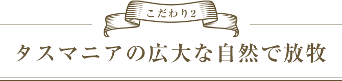 こだわり2　タスマニアの広大な自然で放牧