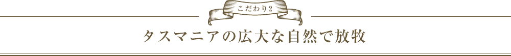 こだわり2　タスマニアの広大な自然で放牧